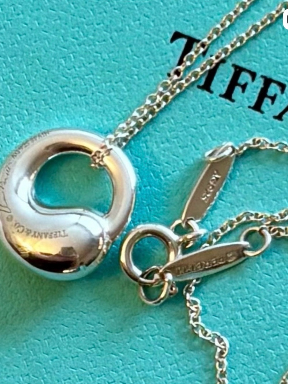 Tiffany & Co. Elsa Peretti Eternal Circle Pendant Necklace